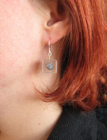 Ear Rings Silver & Zebra Shells : $50